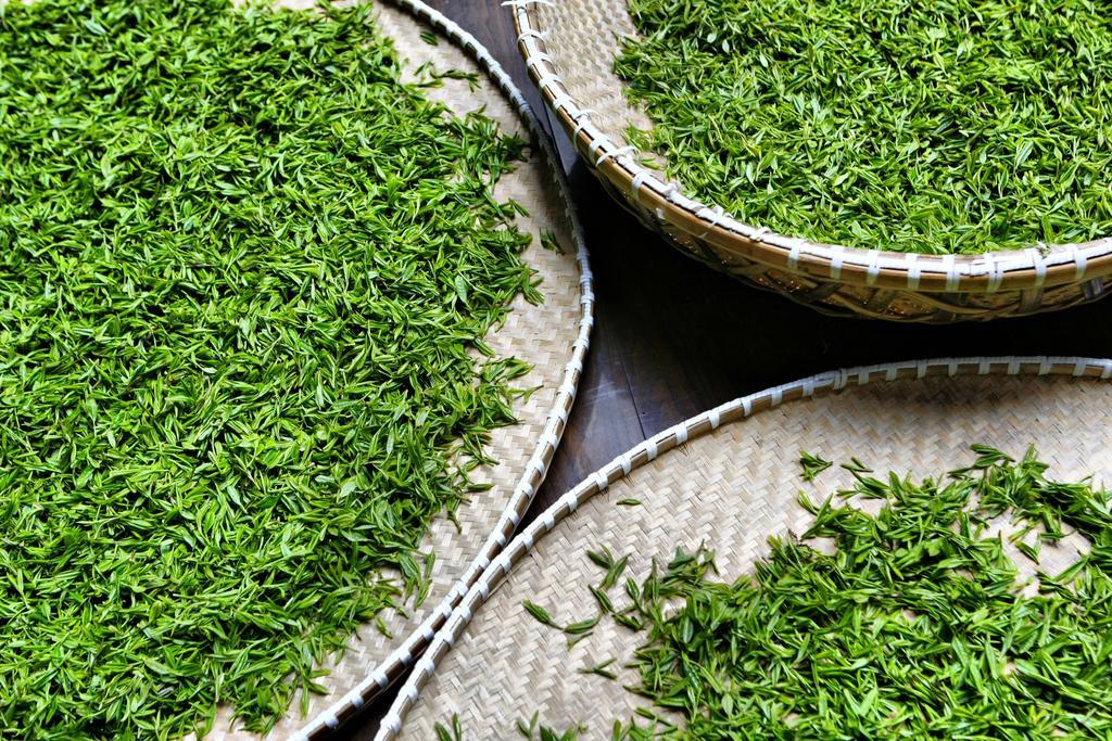 Landison Longjing Resort Hangzhou Bagian luar foto