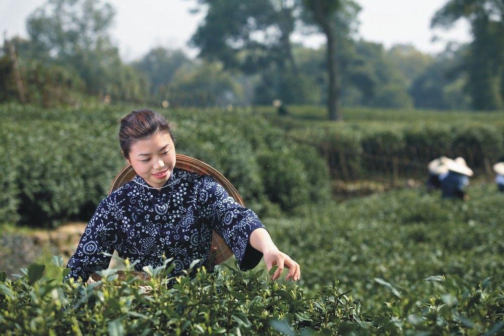 Landison Longjing Resort Hangzhou Bagian luar foto